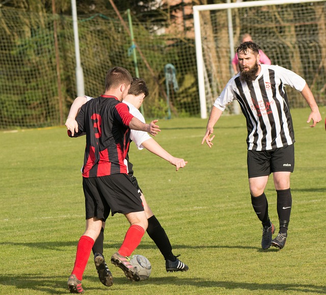 比利时11月世预赛大名单：库尔图瓦领衔，多库、特罗萨德在列