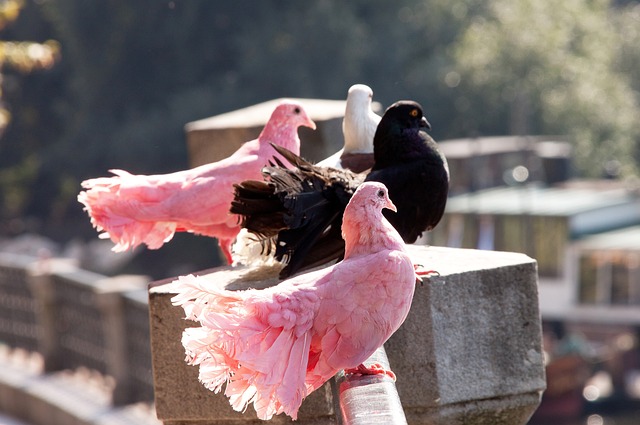 为了赛场上 为了赛场上