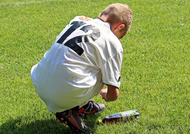 鸟类飞翔的 鸟类飞翔的