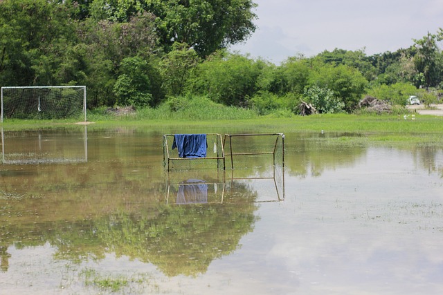 杯上的巅峰 杯上的巅峰