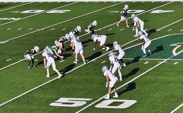 让他能够暂 让他能够暂